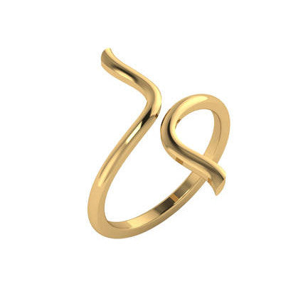 Swirl Bypass Ring